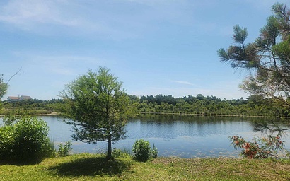 IR53: The Lake House 4