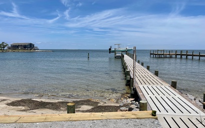 NP24: Pickled Ocra 4