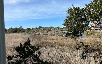 UT10: Ford Cottage 4