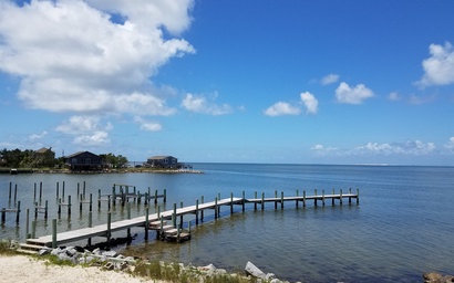 NP27: Anticipation 3