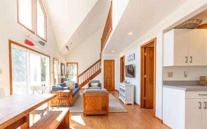 JD37: The Lost Puppy 5