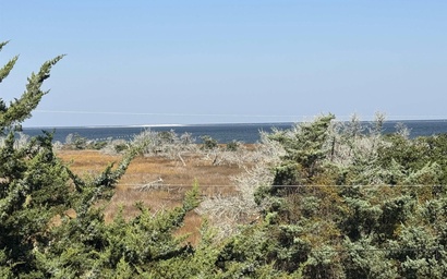 OC77: Reel Retreat 3