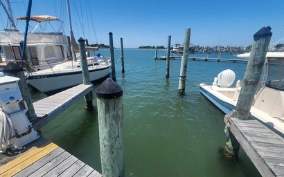 D104: HarbourWatch - Down Creek D104 2