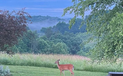 Deer Run - Hocking Hills 4