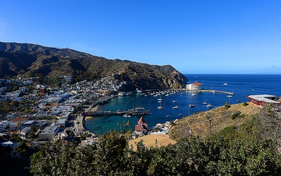 123UT Upper - 123 Upper Terrace Upper 5