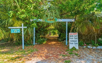 Zen Studio at Lotus Garden Cafe 5