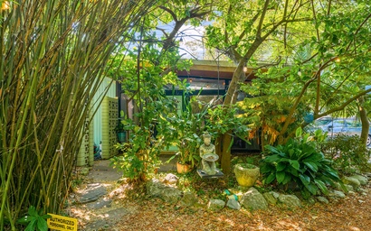 Zen Studio at Lotus Garden Cafe 3