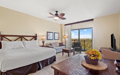 Origin 0715 - Studio King - Quiet Nature View Unit 3