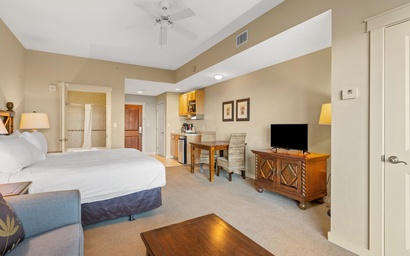 Origin 1023 - Studio King - Peaceful Nature View Unit