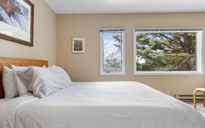 Teton Shadows Granite F 19