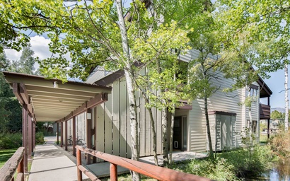 Indian Paintbrush 1112 4