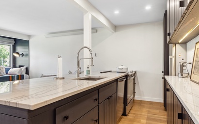 Indian Paintbrush 1112 20