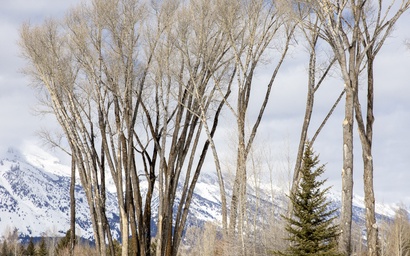 Golf and Tennis Cabin 5870 31