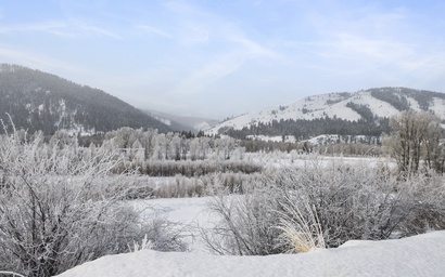Snake River Retreat 55