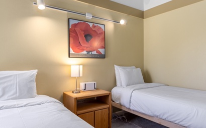 Teton Shadows Eagle D 26