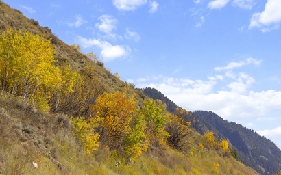 Snake River Retreat 57
