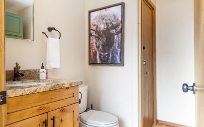 Teton Shadows Shoshone D 19