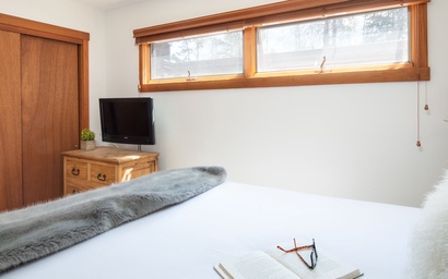 Thimbleberry 3212 10