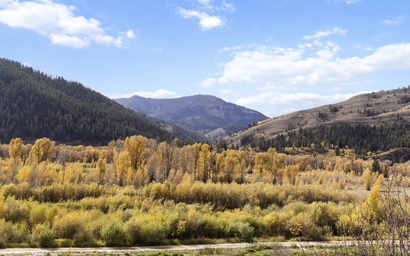 Snake River Retreat 59