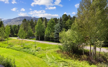 Mountain Alder 823 14