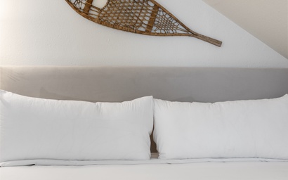 Mountain Alder 823 42