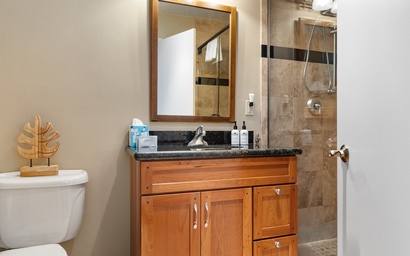 Teton Shadows Granite F 26