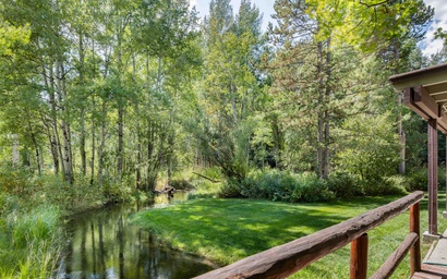 Indian Paintbrush 1112 3