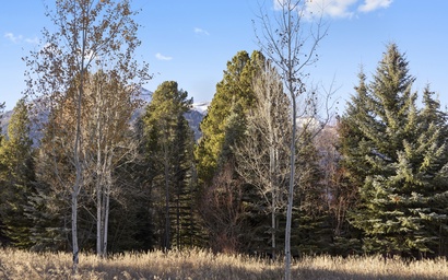 Alpine Fir 712 - Cheeky's Mountain Oasis 17