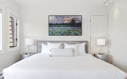 Teton Shadows South Teton F 14