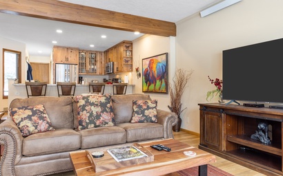 Teton Shadows Shoshone D 6