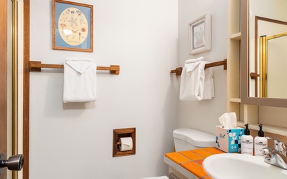 Teton Shadows Rimrock C 15