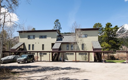 Thimbleberry 3212 13