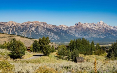 Harvest Dance 3150 32