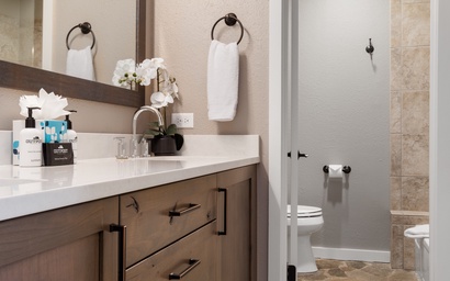 Mountain Alder 823 34