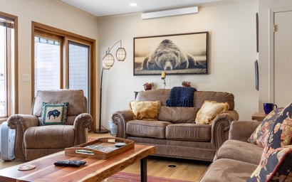 Teton Shadows Shoshone D 5