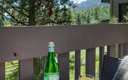 Sleeping Indian E8 10