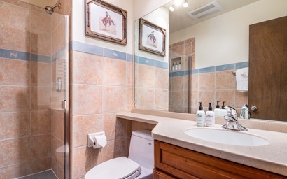 Sleeping Indian E8 16