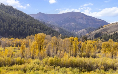 Snake River Retreat 58