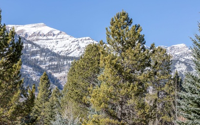 Aspens House 3750 12