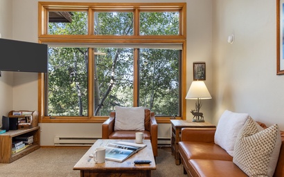 Grand Vista 423 2