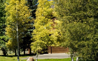 Harvest Dance 3162 71