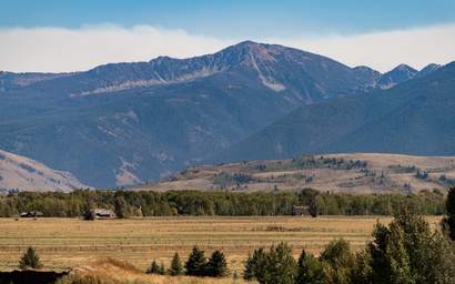 Crystal Springs 305 25