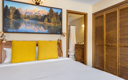 Teton Shadows Shoshone D 31