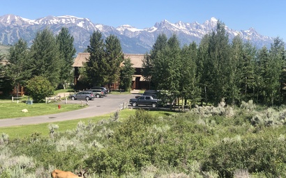 Harvest Dance 3185 15