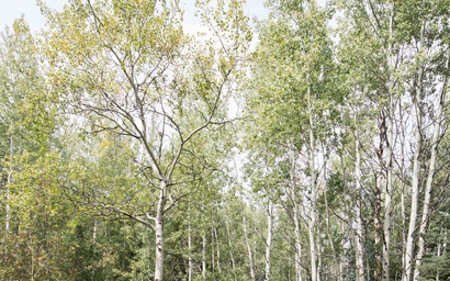 Wind River 7 48