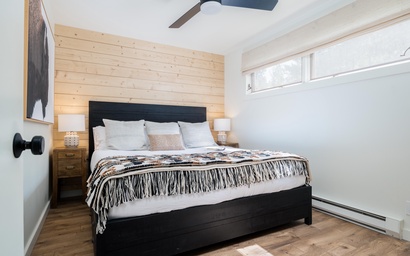 Indian Paintbrush 1112 22