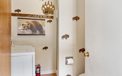 Teton Shadows Granite F 18