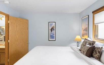 Spruces 3 17