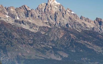 Harvest Dance 3150 31