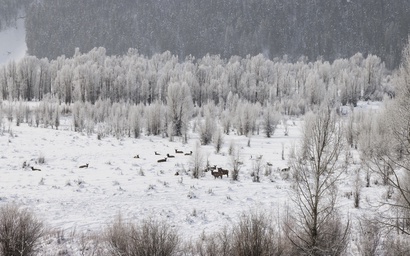 Snake River Retreat 56